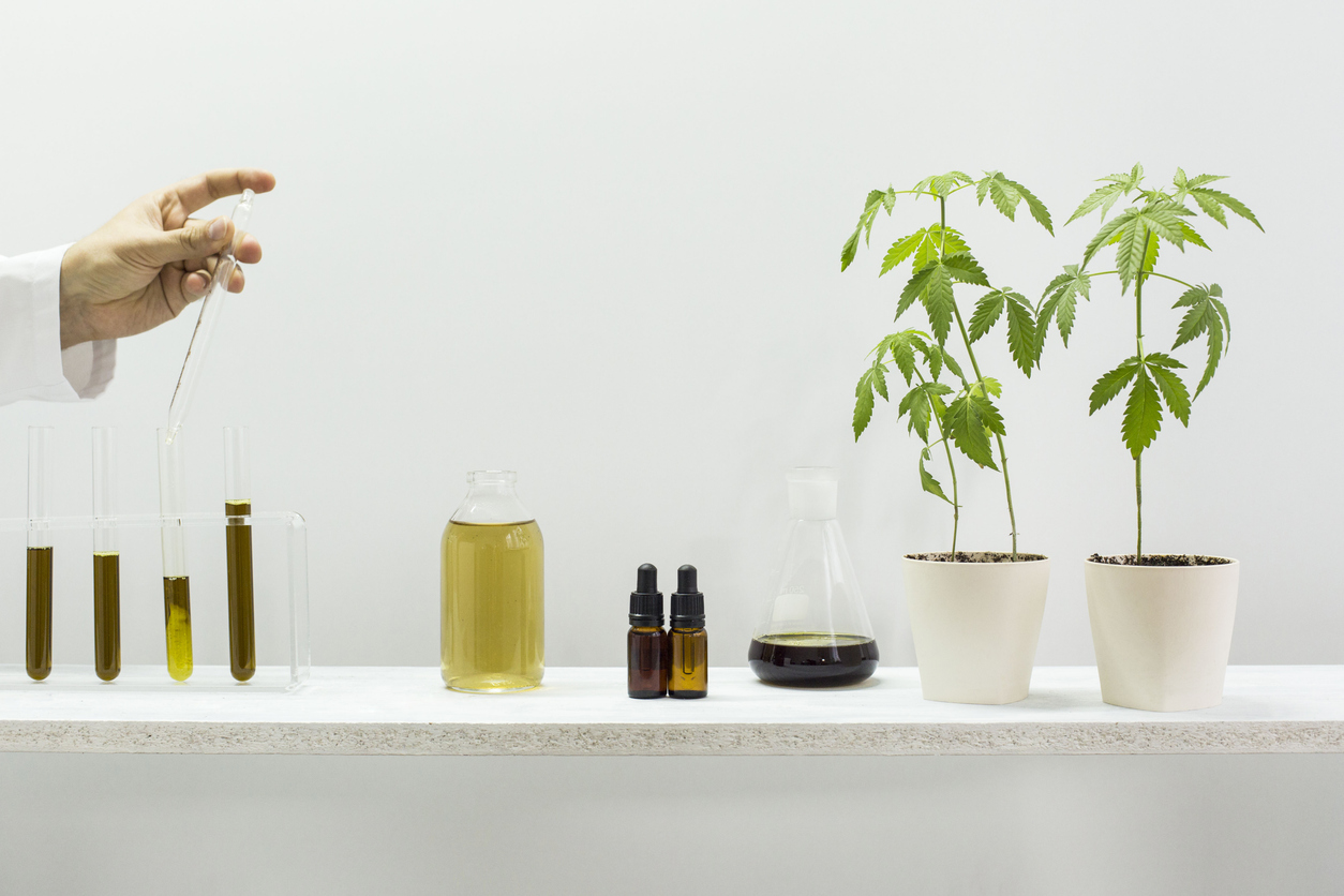 Glass tubes with CBD. Scientist mixing CBD oil with liquid. There is potted marijuana plant. Health concept.