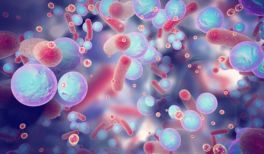 antimicrobial activity of cbd