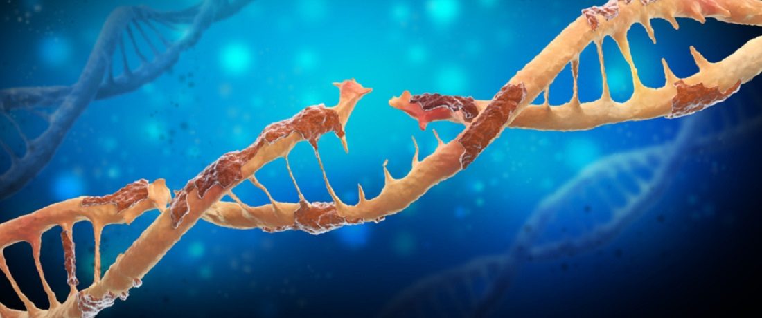 dna damage